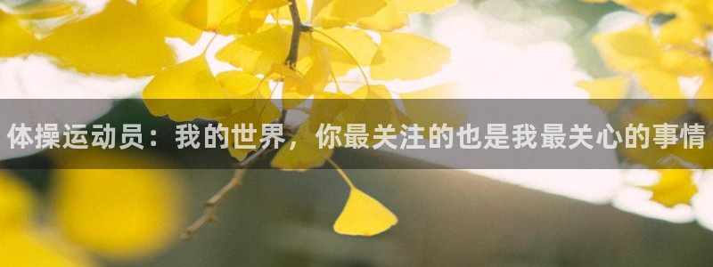 JJB竞技宝官网下载平台假的吗是真的吗：体操运动员：我的世界