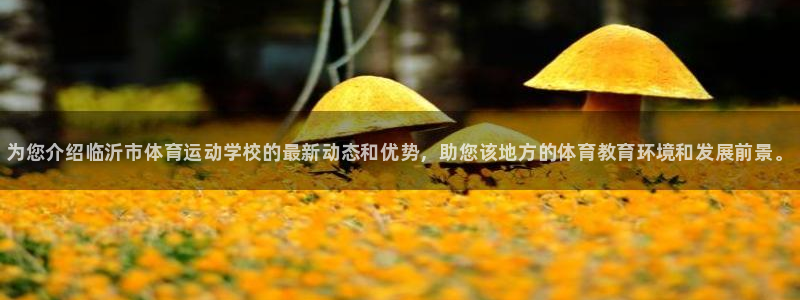JJB竞技宝官方正版app开户：为您介绍临沂市体育运