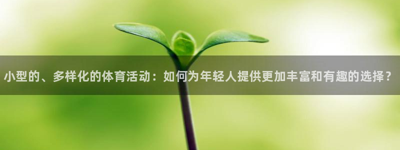 JJB竞技宝官网下载招商：小型的、多样化的体育活动：