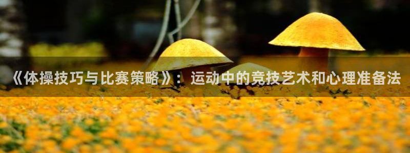JJB竞技宝官网下载注册：《体操技巧与比赛策略》：运