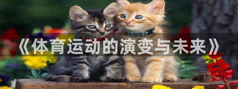 JJB竞技宝官方正版app科技：《体育运动的演变与未