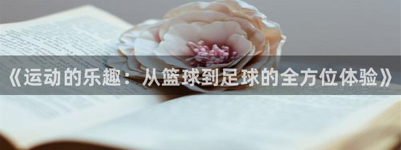 JJB竞技宝官网下载平台APP：《运动的乐趣：从篮球