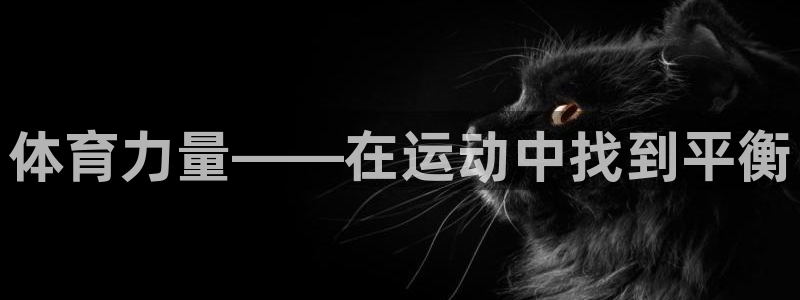 JJB竞技宝官方正版app新能源：体育力量——在运动