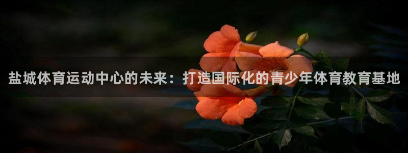 JJB竞技宝官方正版app科技：盐城体育运动中心的未