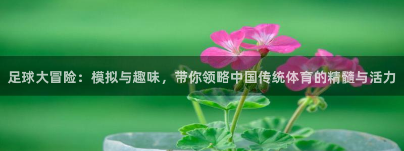 海南JJB竞技宝官网下载发展怎么样：足球大冒险：模拟