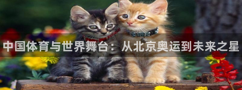 JJB竞技宝官方正版app娱乐40996：中国体育与