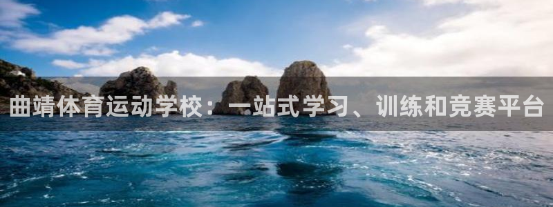 JJB竞技宝官方正版app新能源：曲靖体育运动学校：