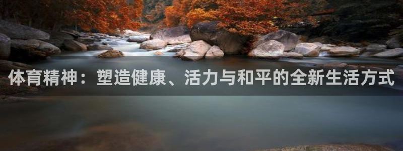 JJB竞技宝官方正版app新能源：体育精神：塑造健康