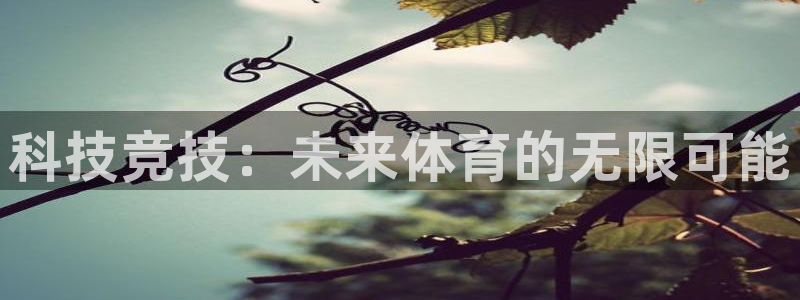 海南JJB竞技宝官网下载发展怎么样：科技竞技：未来体