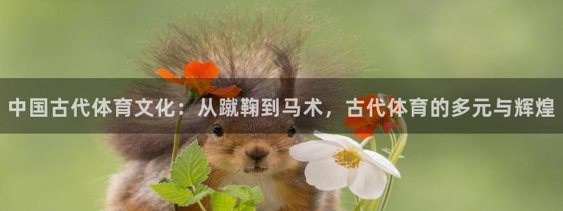 JJB竞技宝官方正版app娱乐首页网站大全：中国古代