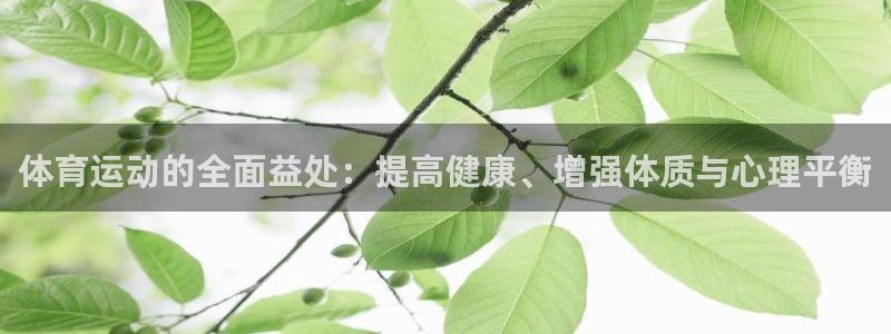 JJB竞技宝官网下载招商：体育运动的全面益处：提高健康、增强