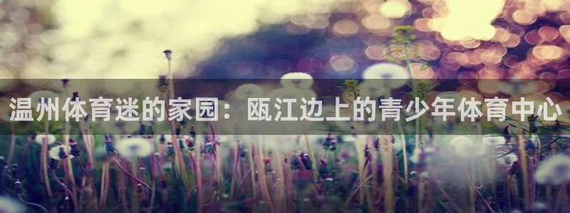 JJB竞技宝官方正版app集团E.ON