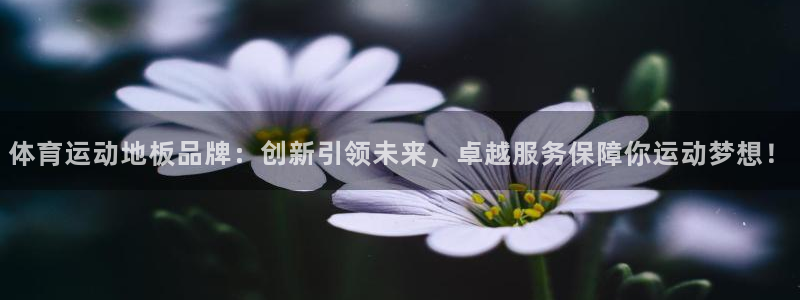 JJB竞技宝官方正版app娱乐是那个系列的台子：体育运动地板