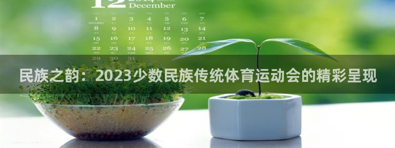 JJB竞技宝官网下载是干嘛的公司：民族之韵：2023少数民族