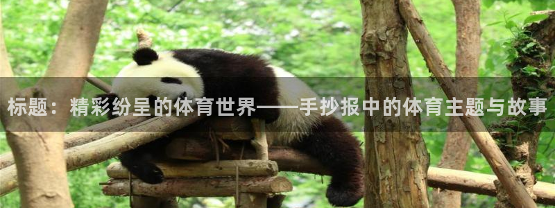 JJB竞技宝官方正版app官方：标题：精彩纷呈的体育世界——