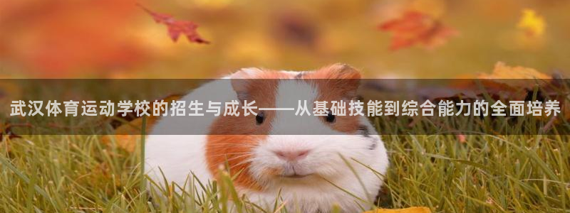 JJB竞技宝官网下载招商电话号码查询：武汉体育运动学校的招生