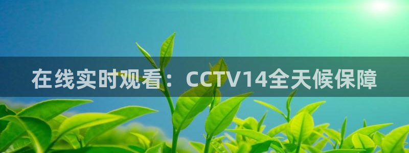 360直播体育直播：在线实时观看：CCTV14全天候保障