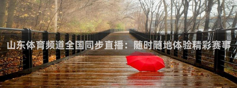 360直播足球直播app：山东体育频道全国同步直播：随时随地体验精彩赛事