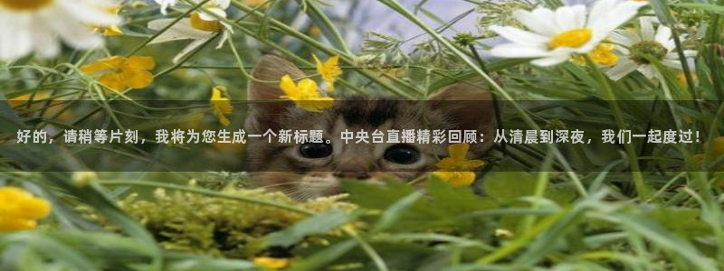 360体育直播官网：好的，请稍等片刻，我将为您生成一个新标题。中央台直播精彩回顾：从清晨到深夜，我们一起度过！