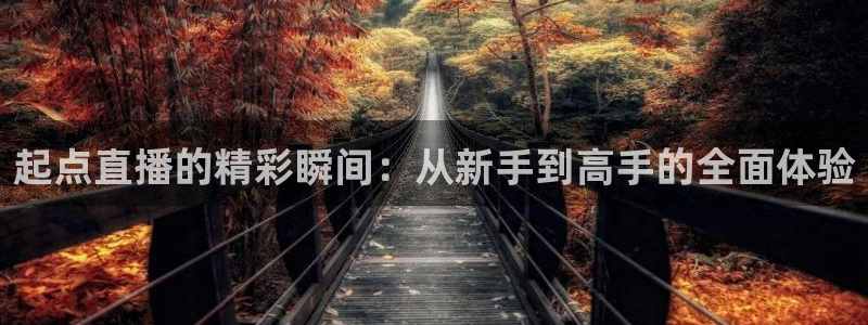 英联杯直播360：起点直播的精彩瞬间：从新手到高手的全面体验