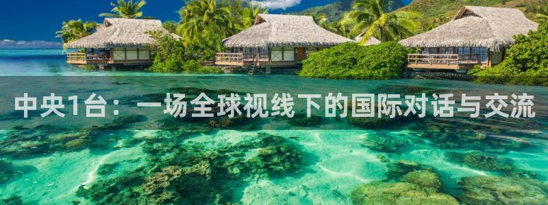 360体育直播吧：中央1台：一场全球视线下的国际对话与交流