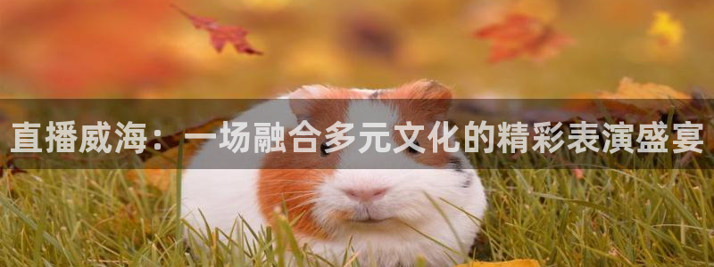 在线足球直播360：直播威海：一场融合多元文化的精彩表演盛宴